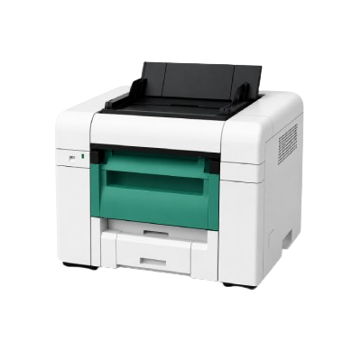 Printer Processors
